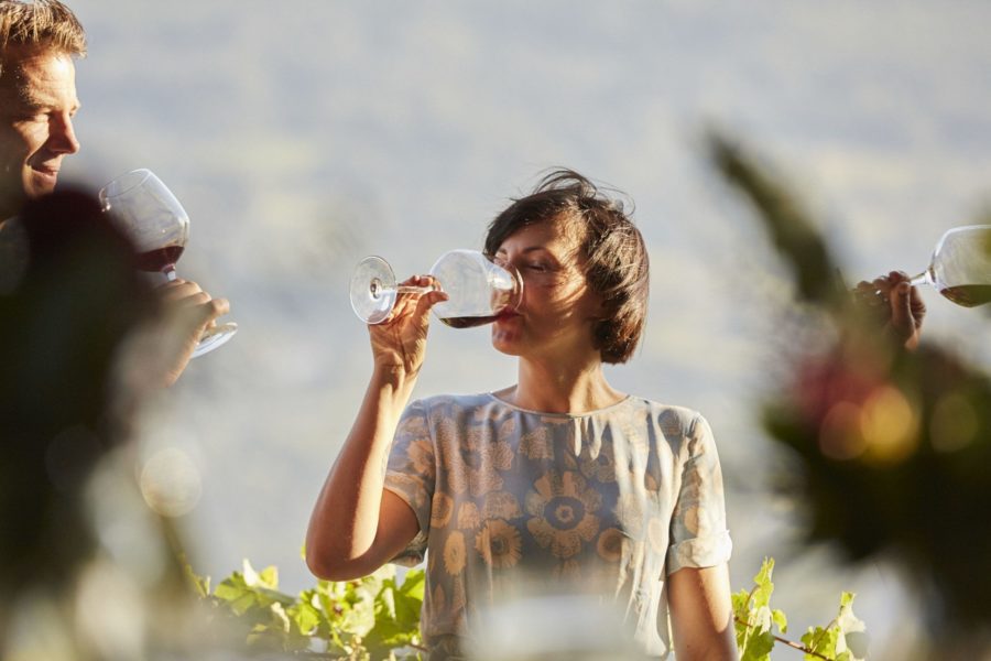 Werden Sie zum Weinexperten