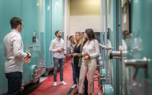 Besichtigung unseres Weinkellers