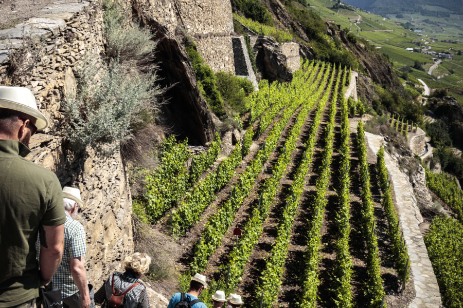 De la découverte et une dégustation 