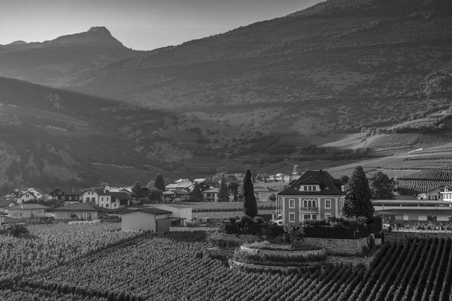 80 ans de développement, un travail qui porte ses fruits