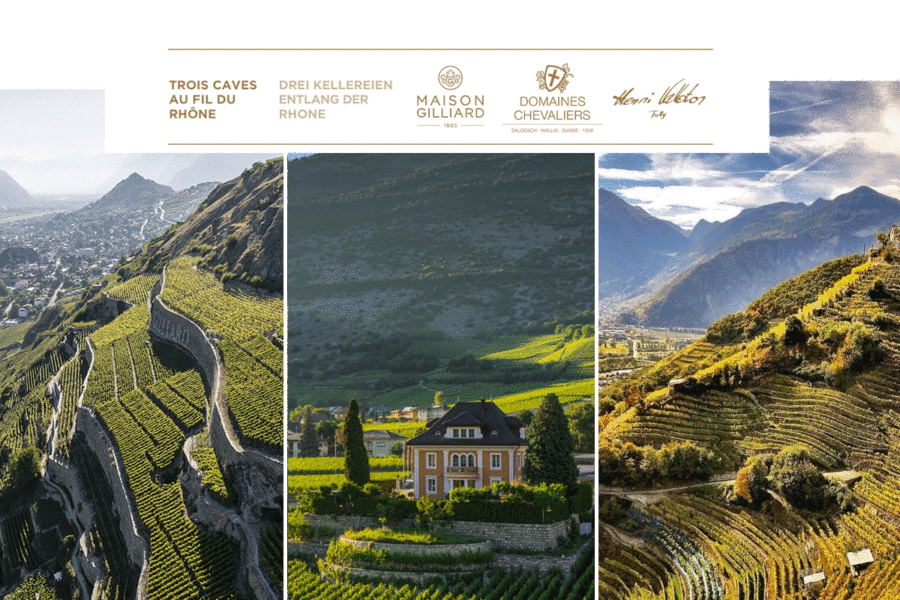 Une alliance unique le long de la Rhône