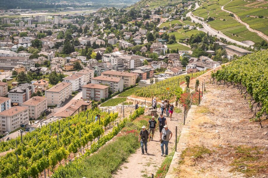 Une expérience exclusive