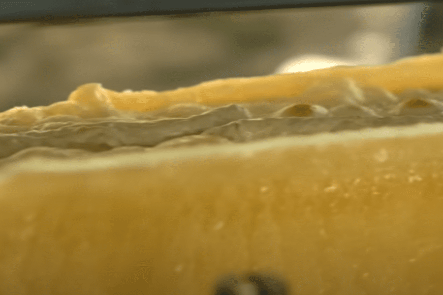 Un moment d’exception entre vins, raclette et tradition