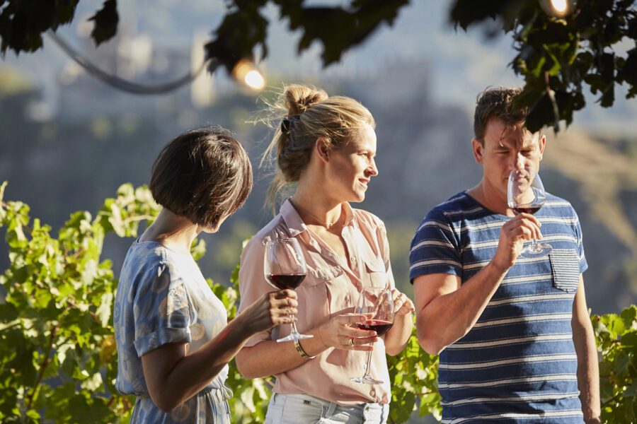 Devenir un expert en vin – 17 janvier 2026